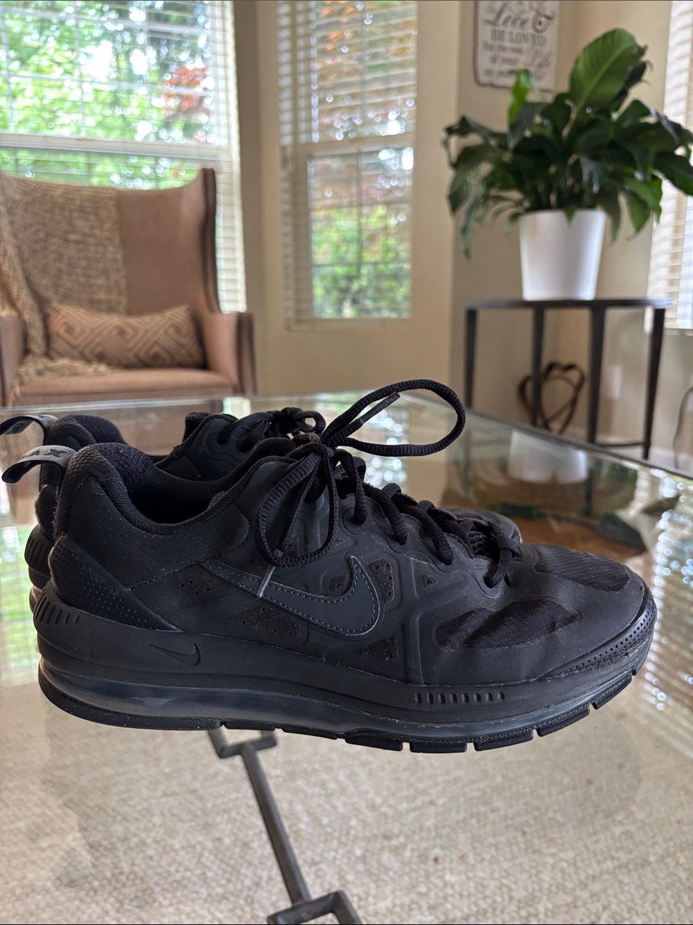 Nike Black Air Max Low-Top Sneakers
